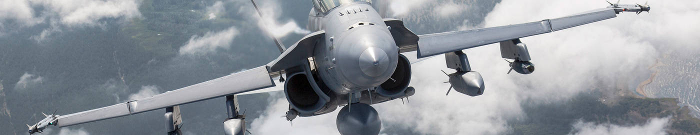 hornet