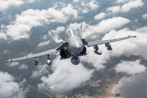 hornet hornet