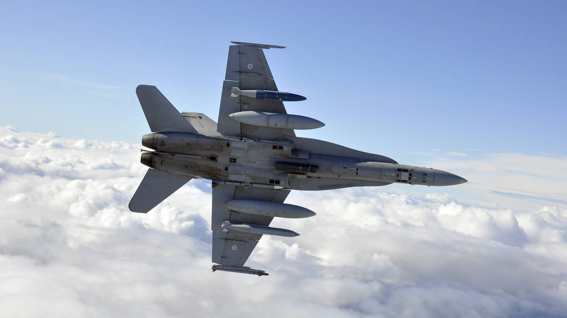hornet_alta